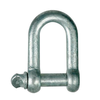 Dee Shackle