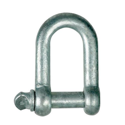 Dee Shackle