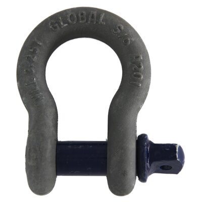 Bow Shackle with Screw Pin