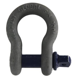 Bow Shackle with Screw Pin