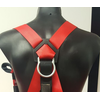 Harness Honeywell Fall Arrest with Webbing Lanyard back
