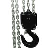 Chain Block POWERTEX PCB-S2OLP with Ball Bearing Hook