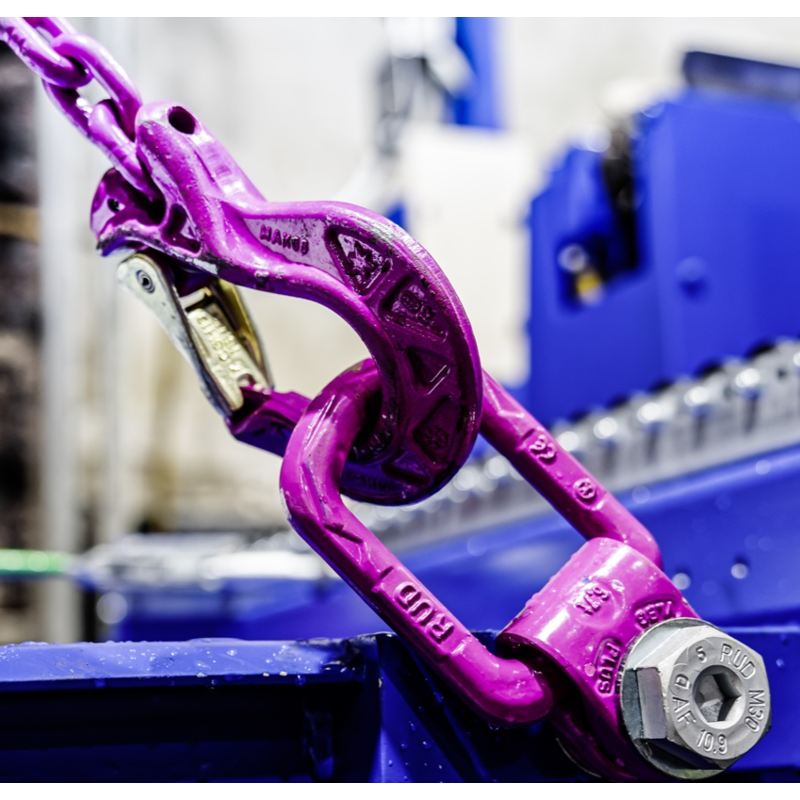 Support De Charge RUD 2,5 Tonnes Avec Vis ICE - Filetage M20, Rose, Pour Levage Et Manutention - Neuf, Qualité Allemande