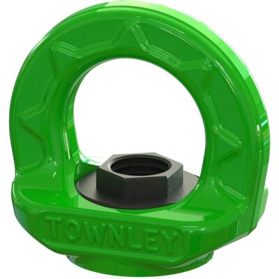 Swivel Eyenut Townley